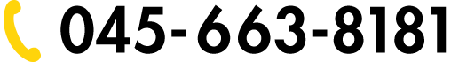 045-663-8181