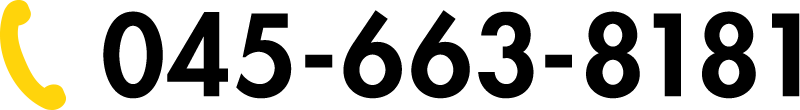 045-663-8181