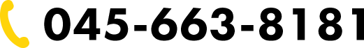 045-663-8181