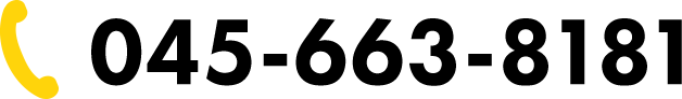 045-663-8181