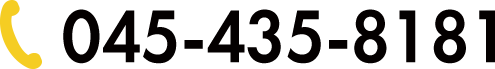 045-435-8181